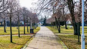 Zimowy poranek w Piszu nad Pisą, styczeń 2023 - zdjęcie 23