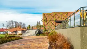 Wiosenne popołudnie w środku zimy w Mazurskim Raju, styczeń 2023 - zdjęcie 20