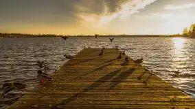 Zachód słońca w Rynie, jezioro Ryńskie, styczeń 2023 - zdjęcie 49