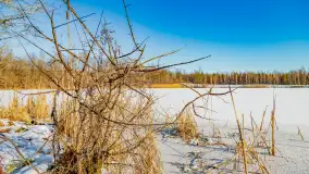 Rzeka Dajna i okolice, luty 2023 - zdjęcie 13