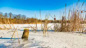 Rzeka Dajna i okolice, luty 2023 - zdjęcie 23