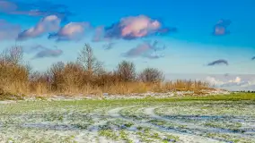 Rzeka Dajna i okolice, luty 2023 - zdjęcie 53