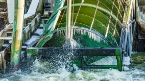 Rzeka Dajna i okolice, luty 2023 - zdjęcie 57