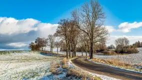 Rzeka Dajna i okolice, luty 2023 - zdjęcie 80