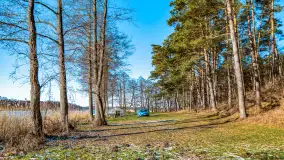 Zatoka Mrówcza, jezioro Ryńskie, luty 2023 - zdjęcie 2