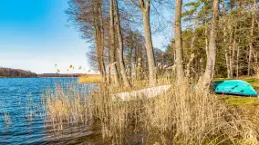 Zatoka Mrówcza, jezioro Ryńskie, luty 2023 - zdjęcie 13