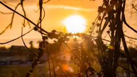 Zachód słońca w okolicy rzeki Guber, luty 2023 - zdjęcie 9