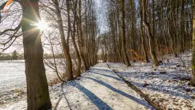 Spacer po lesie kętrzyńskim, górka poznańska i rzeka Guber - zdjęcie 2