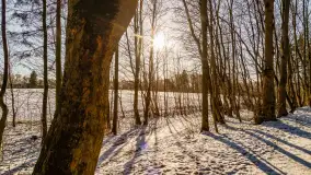 Spacer po lesie kętrzyńskim, górka poznańska i rzeka Guber - zdjęcie 26