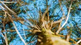 Spacer po lesie kętrzyńskim, górka poznańska i rzeka Guber - zdjęcie 14