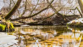 Spacer po lesie kętrzyńskim, górka poznańska i rzeka Guber - zdjęcie 1