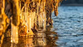 Zachód słońca nad jeziorem Ryńskim - zdjęcie 3