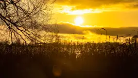 Zachód słońca nad jeziorem Mój, luty 2023 r. - zdjęcie 39