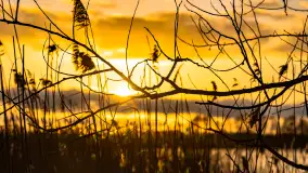 Zachód słońca nad jeziorem Mój, luty 2023 r. - zdjęcie 6