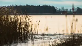 Zachód słońca nad jeziorem Mój, luty 2023 r. - zdjęcie 10