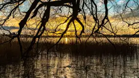 Zachód słońca nad jeziorem Mój, luty 2023 r. - zdjęcie 9