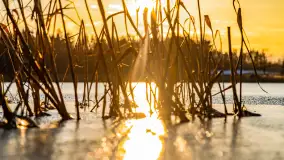 Kolejny zachód nad jeziorem Ryńskim, luty 2023 - zdjęcie 9