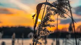 Kolejny zachód nad jeziorem Ryńskim, luty 2023 - zdjęcie 32