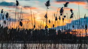 Kolejny zachód nad jeziorem Ryńskim, luty 2023 - zdjęcie 23