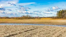 Wiosenne zbiorowiska ptaków, luty 2023 r. - zdjęcie 17