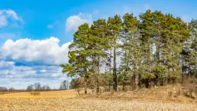 Wczesne przedwiośnie na Mazurach, luty 2023 r. - zdjęcie 30