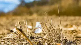 Wczesne przedwiośnie na Mazurach, luty 2023 r. - zdjęcie 41