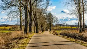 Wczesne przedwiośnie na Mazurach, luty 2023 r. - zdjęcie 19