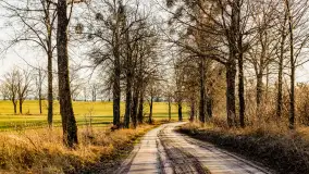 Wczesne przedwiośnie na Mazurach, luty 2023 r. - zdjęcie 24