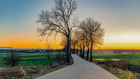 Wczesne przedwiośnie na Mazurach, luty 2023 r. - zdjęcie 1