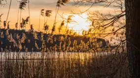 Zachód słońca nad jeziorem Siercze, luty 2023 - zdjęcie 27