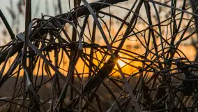 Zachód słońca nad jeziorem Siercze, luty 2023 - zdjęcie 12