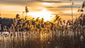 Zachód słońca nad jeziorem Siercze, luty 2023 - zdjęcie 8