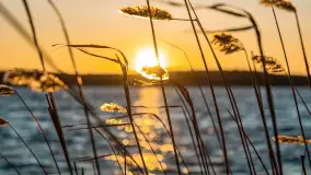 Zachód słońca nad jeziorem Kirsajty, luty 2023 r. - zdjęcie 5