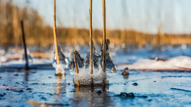 Słonecznie i zimowo przy moście Sztynorckim - zdjęcie 8