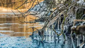 Słonecznie i zimowo przy moście Sztynorckim - zdjęcie 16