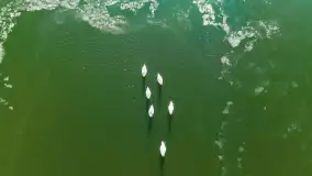 Słonecznie i zimowo przy moście Sztynorckim - zdjęcie 26