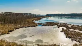 Słonecznie i zimowo przy moście Sztynorckim - zdjęcie 23