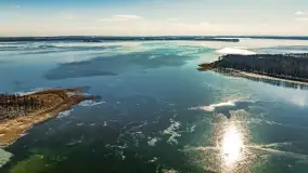 Słonecznie i zimowo przy moście Sztynorckim - zdjęcie 24