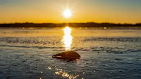 Zachód słońca nad jeziorem Mamry, luty 2023 r. - zdjęcie 32