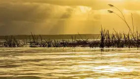 Zachód słońca nad Niegocinem widoczny z dzikiej plaży - zdjęcie 35