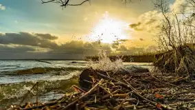 Zachód słońca nad Niegocinem widoczny z dzikiej plaży - zdjęcie 34