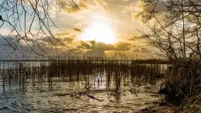 Zachód słońca nad Niegocinem widoczny z dzikiej plaży - zdjęcie 47