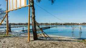 Tło dla Mew u progu nowego sezonu 2023 - zdjęcie 16