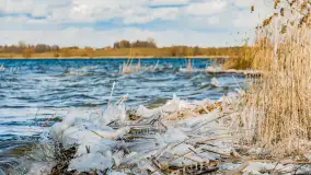 Południowy brzeg jeziora Negocin, lodowe formy, marzec 2023 - zdjęcie 30