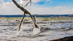 Południowy brzeg jeziora Negocin, lodowe formy, marzec 2023 - zdjęcie 23