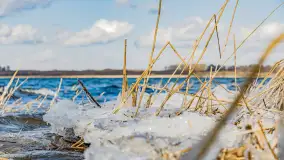 Południowy brzeg jeziora Negocin, lodowe formy, marzec 2023 - zdjęcie 21