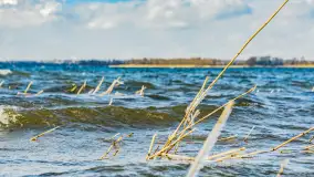Przedwiośnie nad Niegocinem przy Kleszczewie Osada - zdjęcie 23