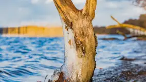 Jezioro Gołdopiwo na początku marca 2023 r. - zdjęcie 17