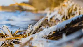 Jezioro Gołdopiwo na początku marca 2023 r. - zdjęcie 3