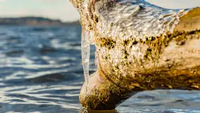 Jezioro Gołdopiwo na początku marca 2023 r. - zdjęcie 20